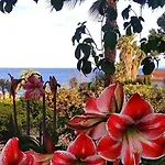 Santa Clara