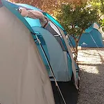 Santa Clara * 알테아