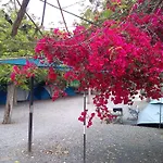 캠프장 Santa Clara *