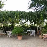 Santa Clara * 알테아