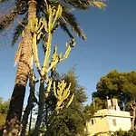 Santa Clara 알테아
