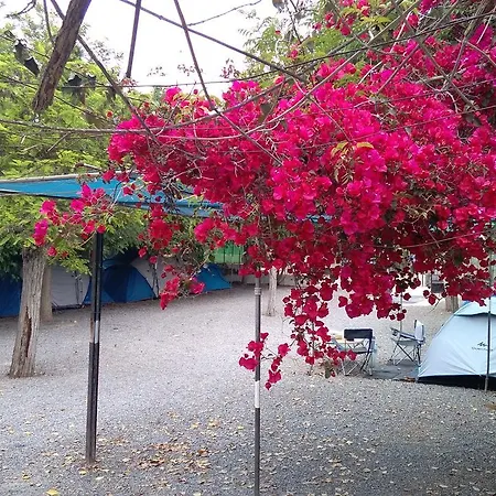 Campeggio Santa Clara *