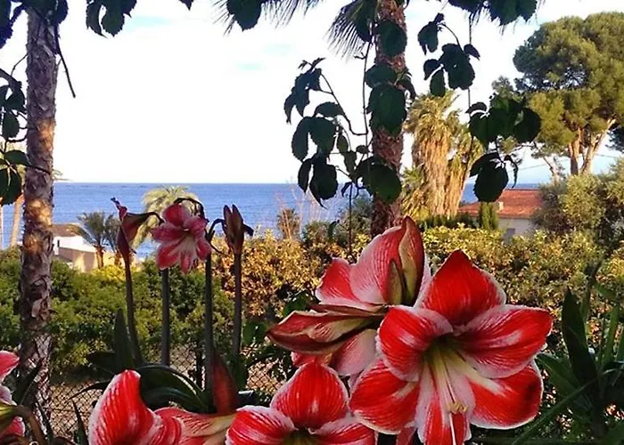 Santa Clara