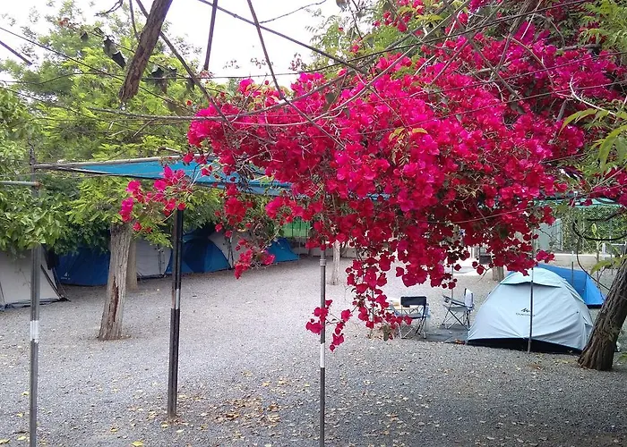 Campsite Santa Clara *
