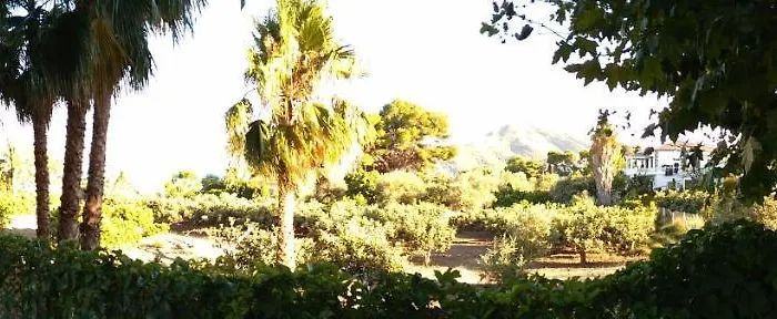 Santa Clara Campsite